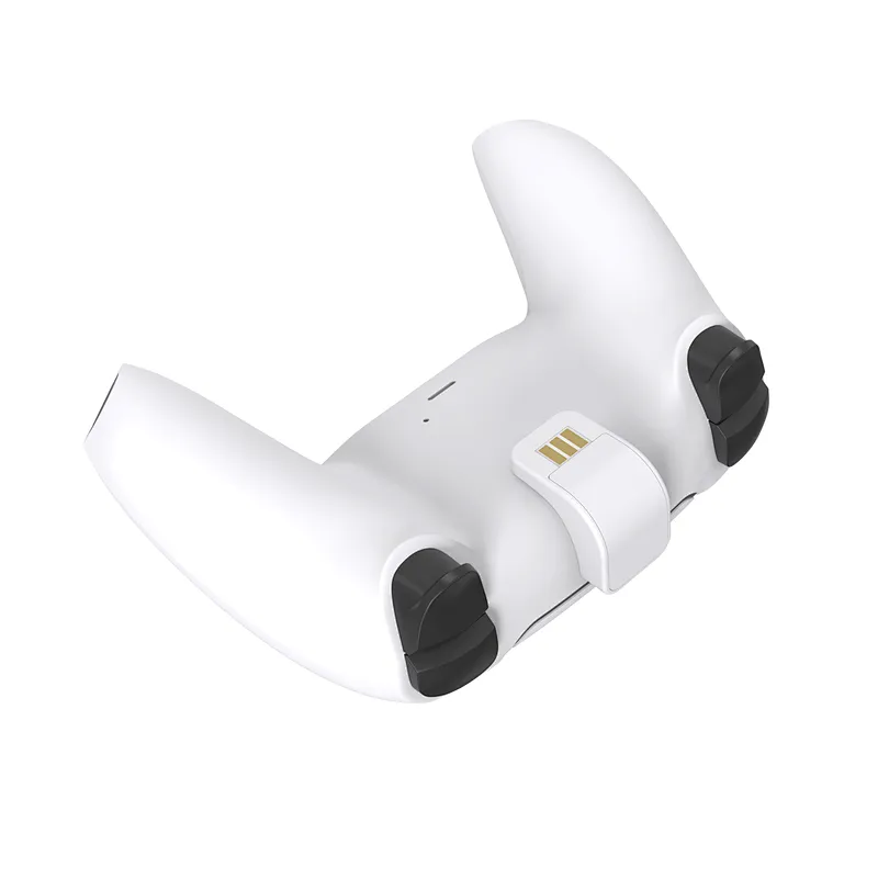 Dual charging dock