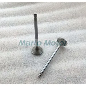 6L ISLe QSL8.9 QSL9 intake valve 4089761 3970727 exhaust valve 4089762 3969637 valve guide 3942645