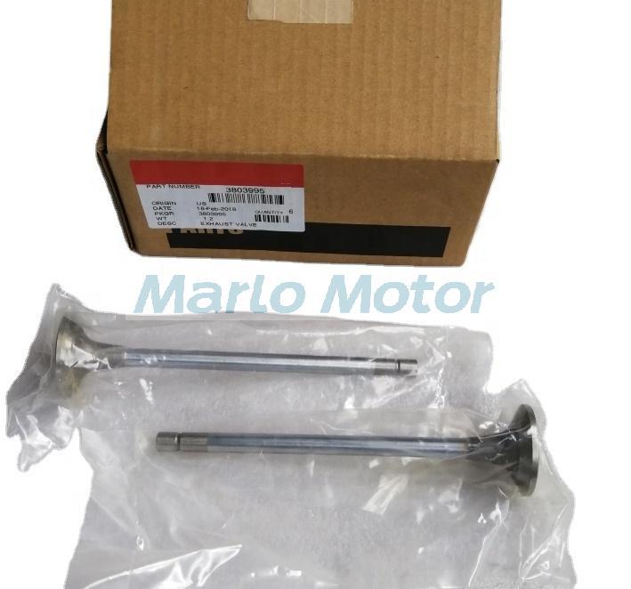 L10 LT10 diesel engine parts exhaust valve 3803995 3801357 3417713