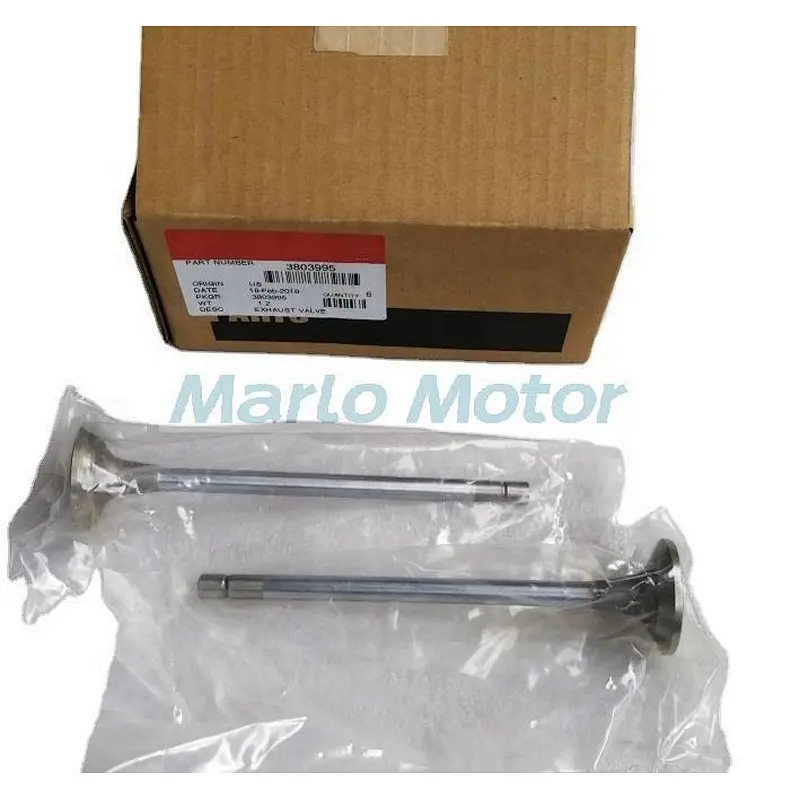 L10 LT10 diesel engine parts exhaust valve 3803995 3801357 3417713