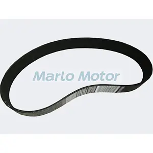 Genuine V Belt Cummins 5412987 for Dump Truck Engine KTA19