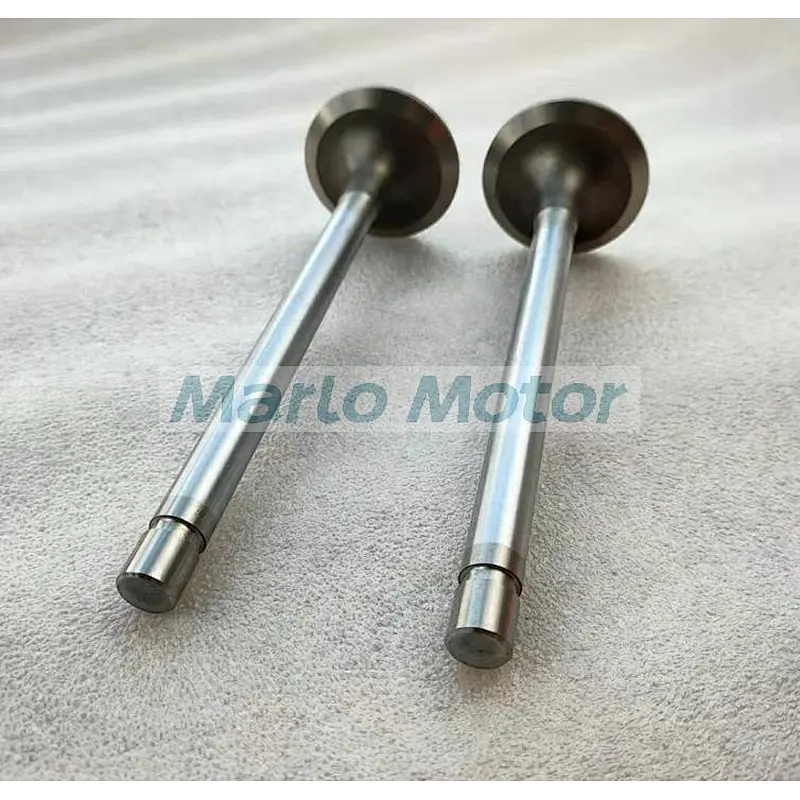 3088389 3803528 3034827 3022602 exhaust valve for K19 QSK19 K19 QSK19G K38 KTA38 K6 K50 G50 QSK50