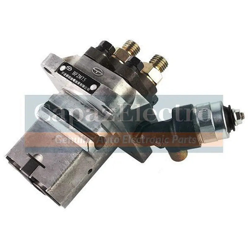 Fuel Injection Pump Assembly BF2M75D