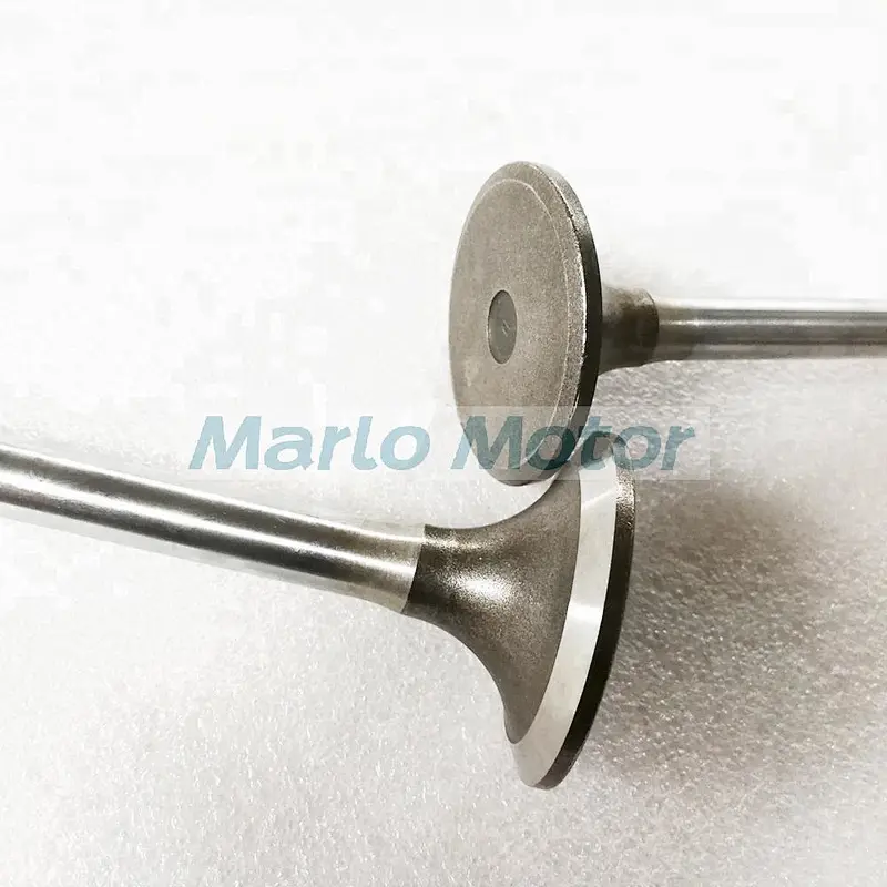 Genuine Diesel Engine Valve for 4 Valve Engine