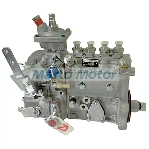 Cummins QSL9 Fuel Pump 4307024
