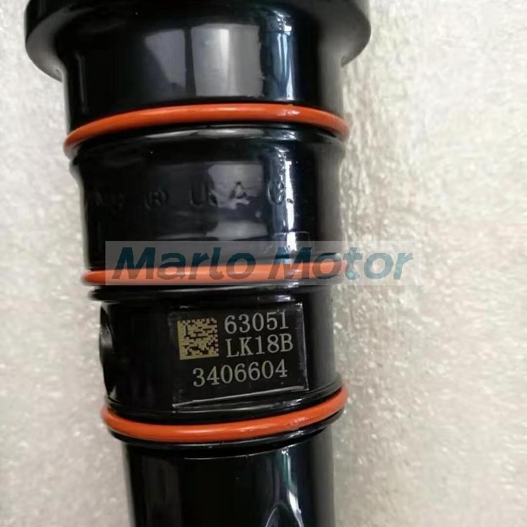 QSM ISM M11M11-C350E20 C350 common rail fuel injector 3096538