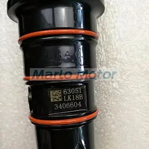 QSM ISM M11M11-C350E20 C350 common rail fuel injector 3096538