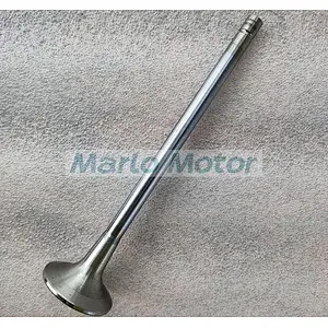 L10 LT10 diesel engine Intake valve 3033234 3801356 3417713