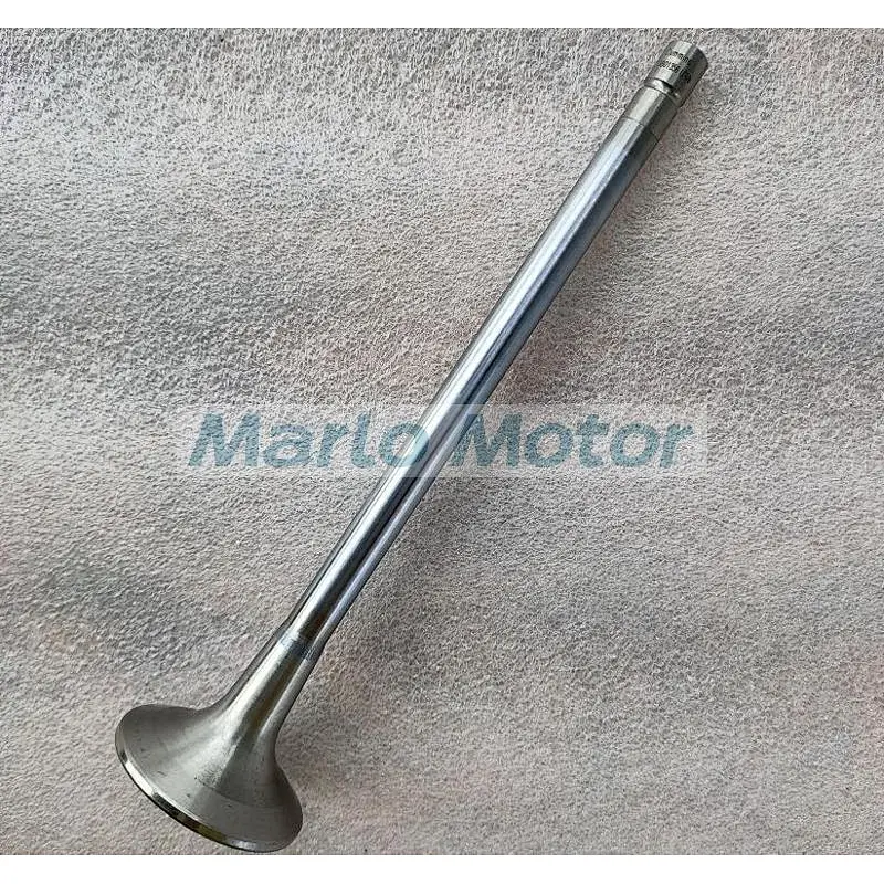 L10 LT10 diesel engine Intake valve 3033234 3801356 3417713