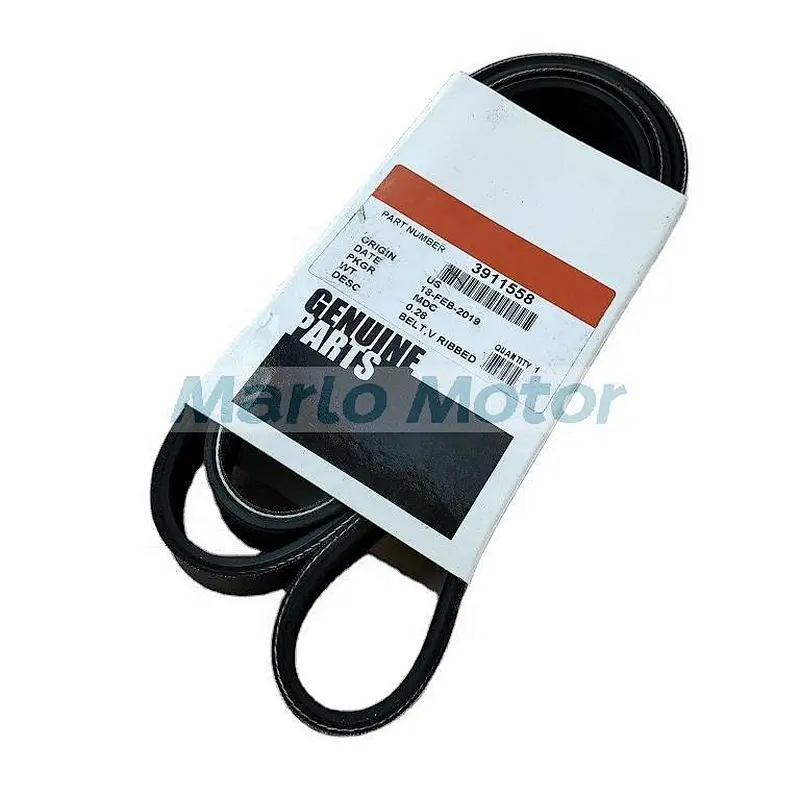 6B 6BT 6B5.9 6BT5.9 QSB5.9 diesel engine fan belt V ribbed belt 3911558