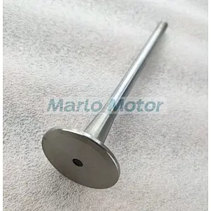 L10 LT10 diesel engine Intake valve 3033234 3801356 3417713
