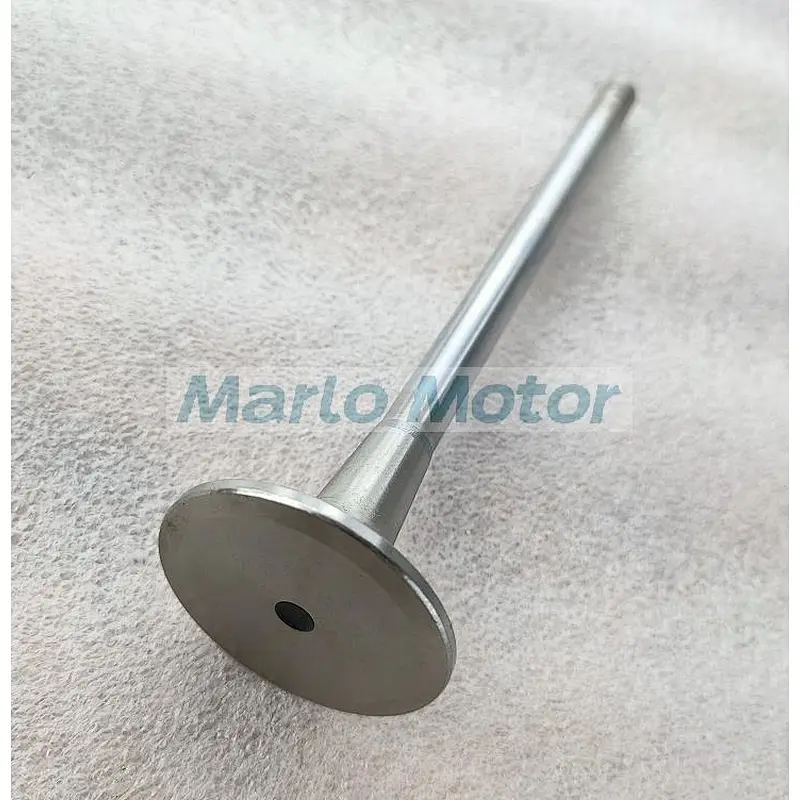 L10 LT10 diesel engine Intake valve 3033234 3801356 3417713