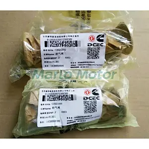 Cummins QSL9 ISL8.9 L8.9 Intake Valve 3924492