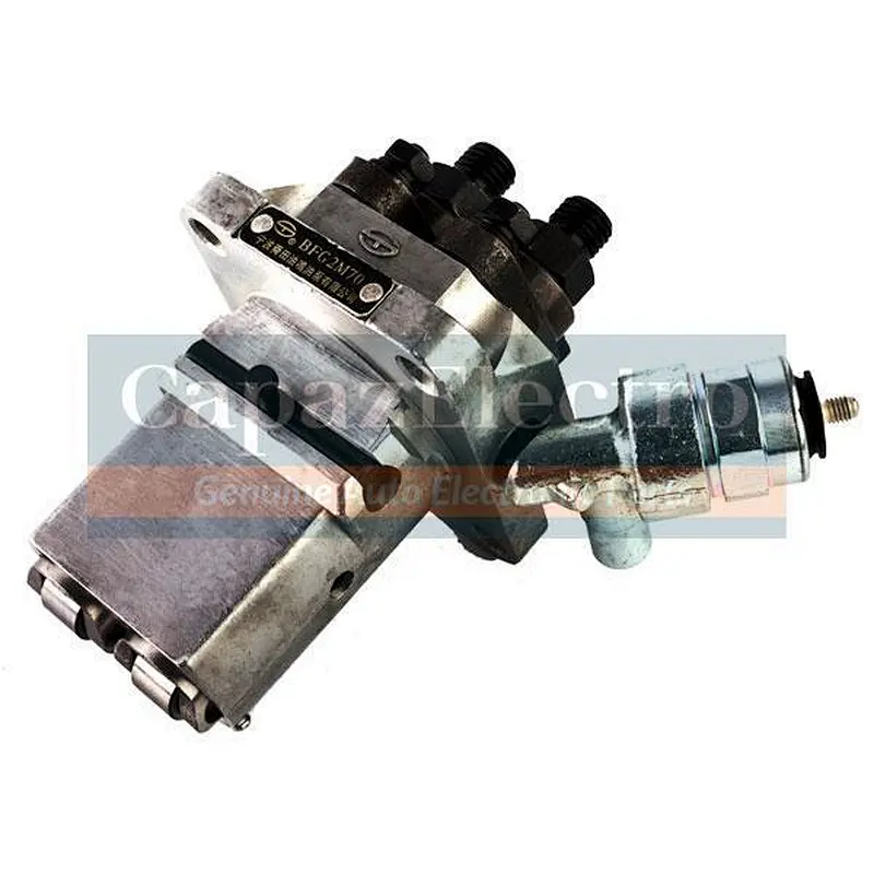 Fuel Injection Pump Assembly BFG2M75D