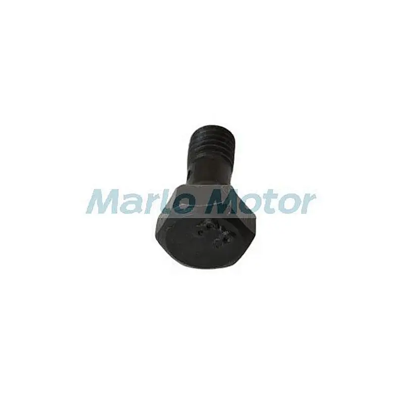 6B 6BT 6B5.9 6BT5.9 6BTA5.9 fuel return line banjo bolt screw 3905307