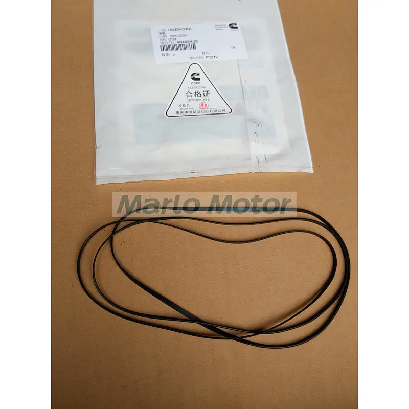 Genuine diesel engine K19 rectangular ring seal cummins parts 4000504