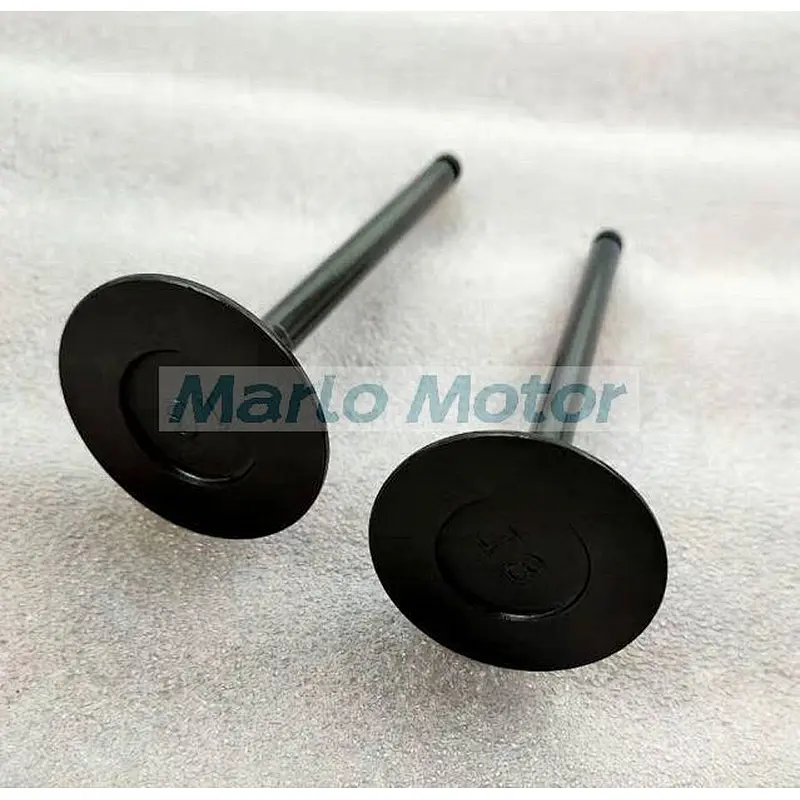 QSB3.3 B3.3 diesel engine parts Intake valve 4955285 4965868 4982907 4995554 5259420 C6207414130 6207-41-4110