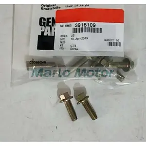 6B 6BT 6BT5.9 B5.9 6B5.9 6BT59 diesel engine spare parts hex flange head screw 3918109