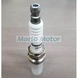 6CT ISC QSC8.3 natural Gas engine spare parts natural gas sparking plug 4937472 4955850 2881797 2882116 4955851 4089869 4089629