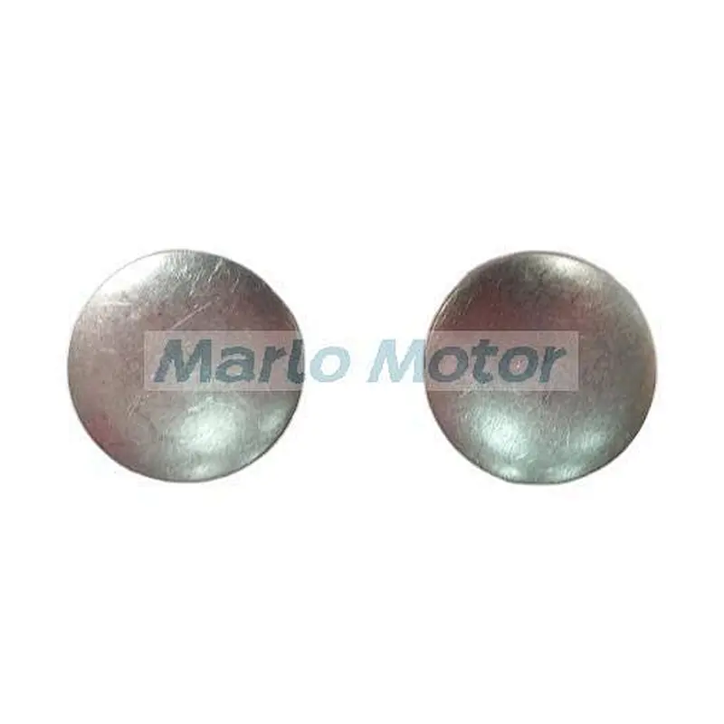6CT 6CTAA8.3 QSC8.3 QSC 8.3 ISC8.3 diesel engine spare parts expansion plug 3901969