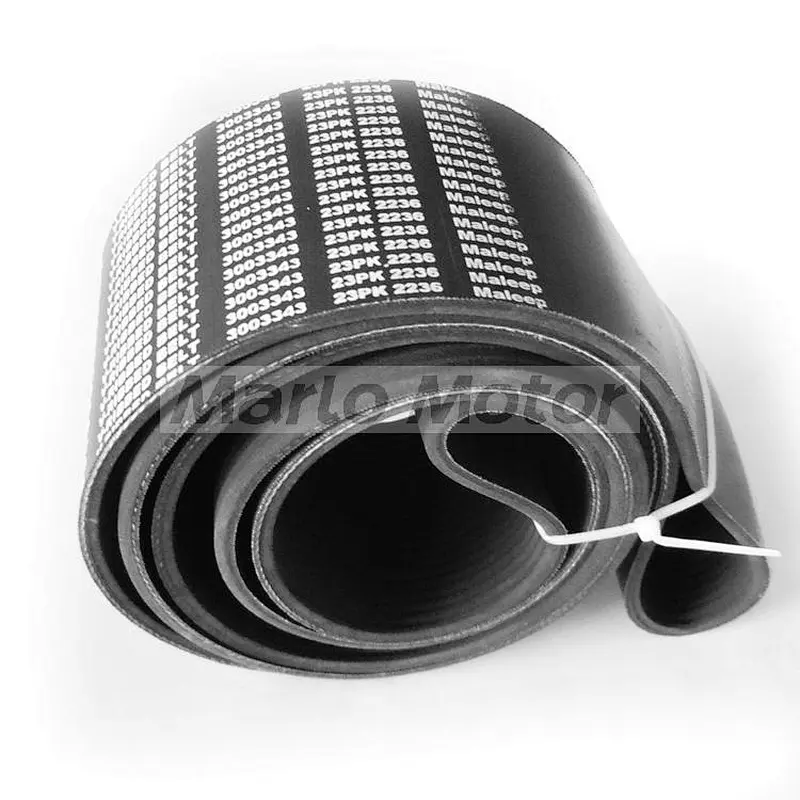 Belt Cummins 3003343 Cummins Diesel Engine Belt