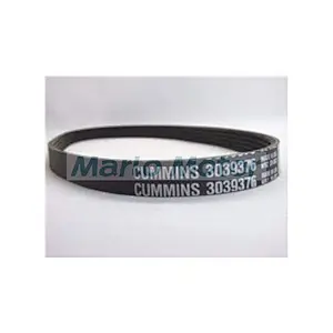 V Ribbed Belt 3039376 Cummins Engine Parts 3979344