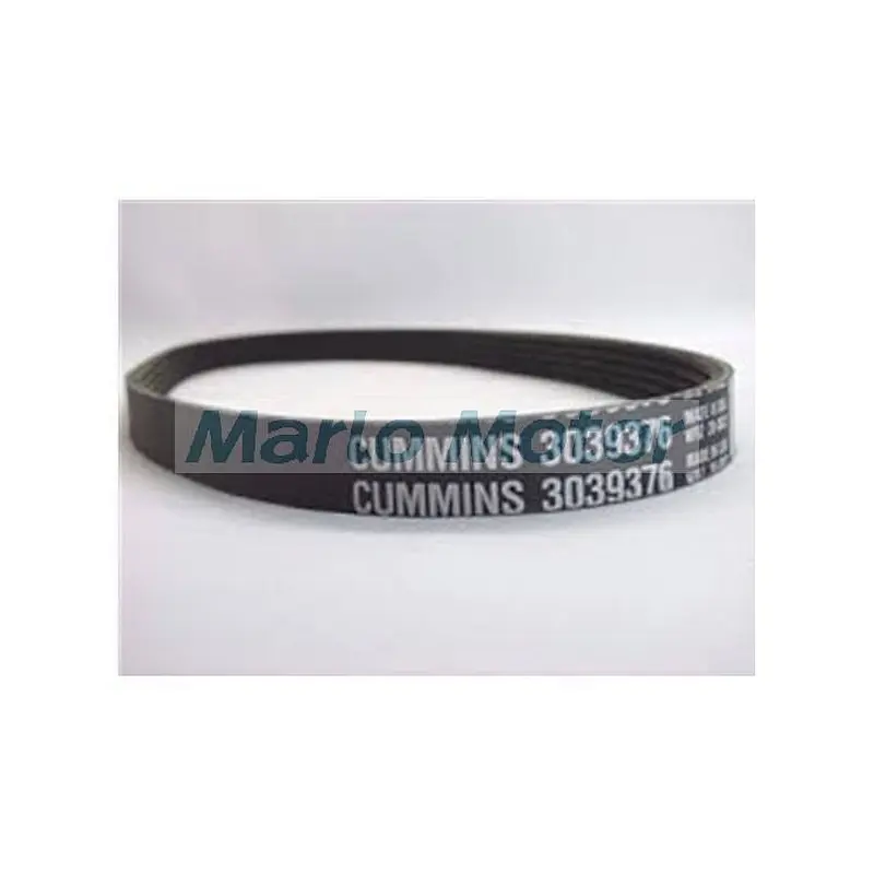 V Ribbed Belt 3039376 Cummins Engine Parts 3979344