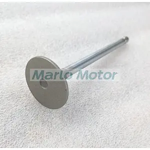 4B3.9 4BT 4BT3.9 6BT 6BT5.9 6BTA5.9 engine exhaust valve 3901117 4994143 3920868 3802355 3802005 intake valve 3920867 3802356