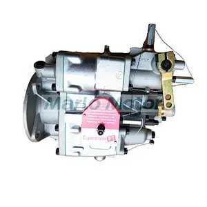 Original Cummins PT Fuel Pump 4076956E785 for KTA19 Engine
