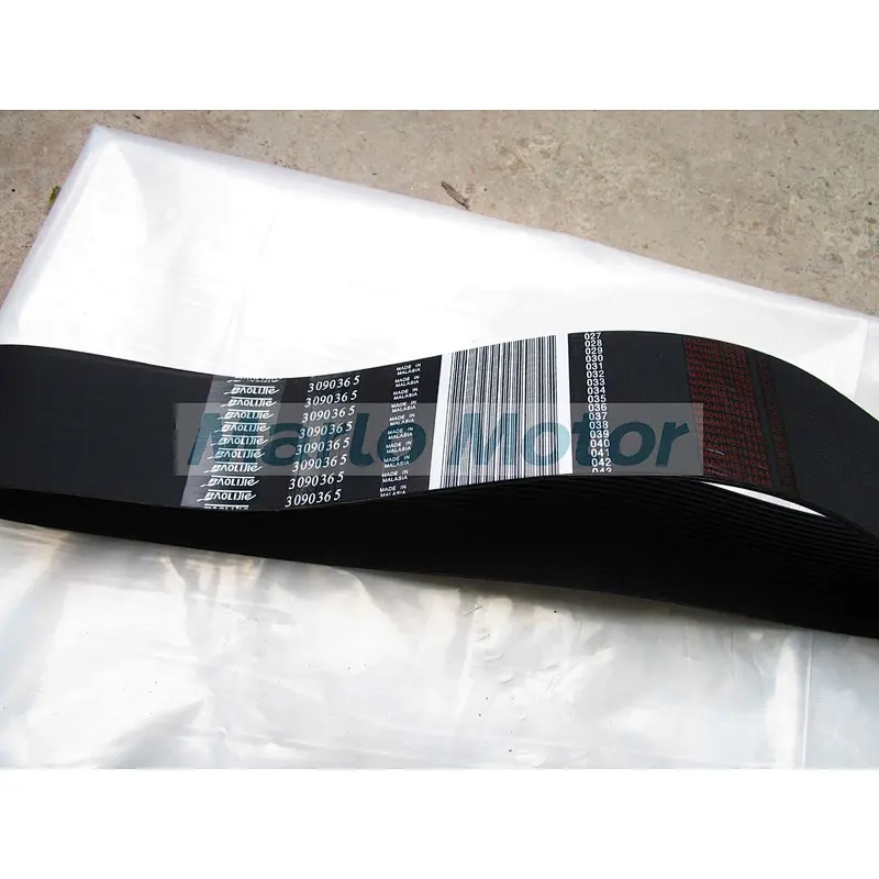 Genuine cummins NH NT 855 diesel engine parts Ribbed V belt 3090365