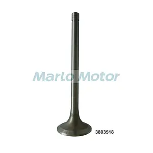 Original CCEC Cummins NT855 NTA855 N14 cylinder head exhaust Valve 3803519 3803524