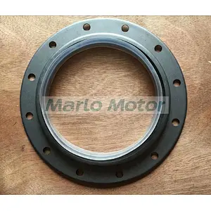 Original KTA38 Oil Seal 3630681