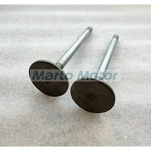 3088389 3803528 3034827 3022602 exhaust valve for K19 QSK19 K19 QSK19G K38 KTA38 K6 K50 G50 QSK50