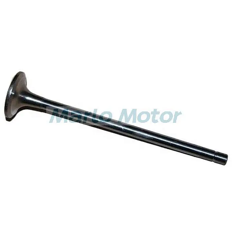 QST30-G5 QST30 Intake valve 3804866 4975848 3093476 exhaust valve 3804867 3093477 3094158 4310999 Valve Insert 3092461 3094159