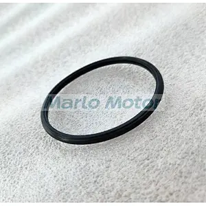 ISF2.8 Original diesel engine spare thermostat seal 5257077