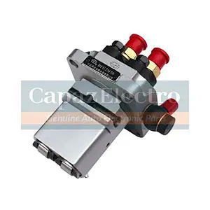 Fuel Injection Pump Assembly BFG2M75