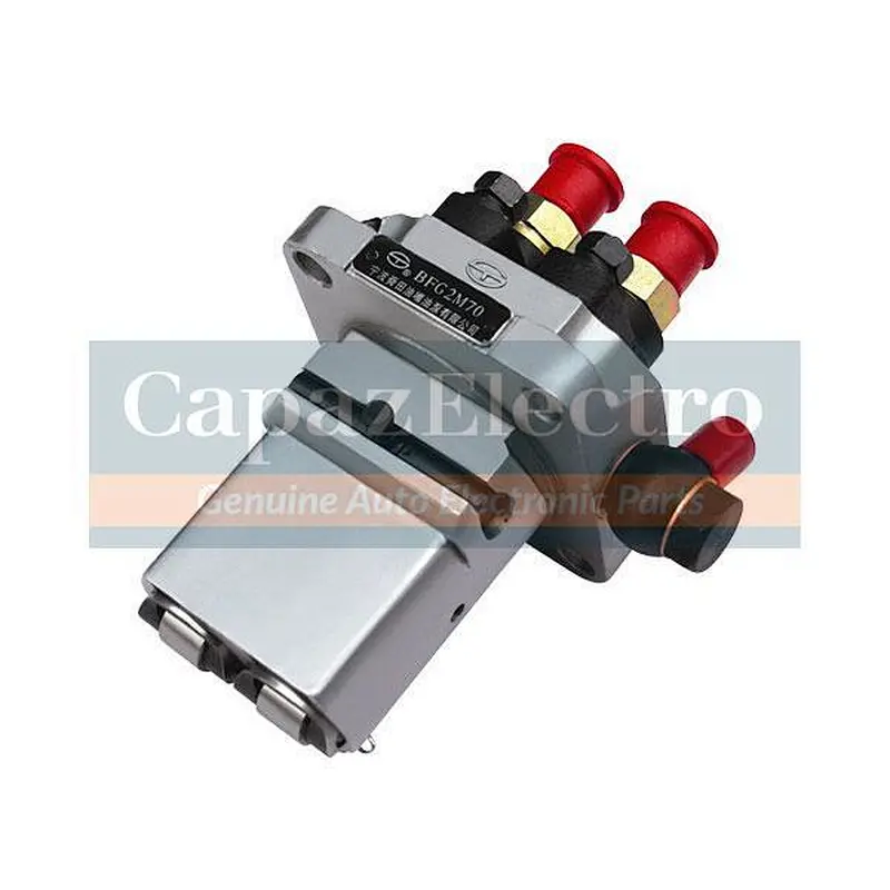 Fuel Injection Pump Assembly BFG2M75