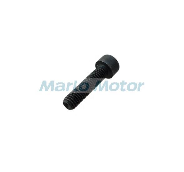 ISF2.8 Original diesel engine spare parts chain tensioner socket head screw 4895877