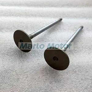 6L ISLe QSL8.9 QSL9 intake valve 4089761 3970727 exhaust valve 4089762 3969637 valve guide 3942645
