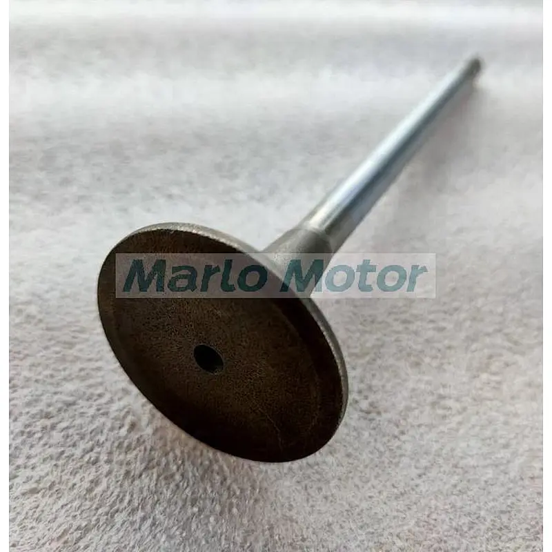 L10 LT10 diesel engine parts exhaust valve 3803995 3801357 3417713