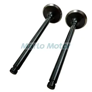 QSB3.3 Exhaust valve 4982895 4982909 C6204414210 C6209414210 6204-43-4210 Intake Valve 4982907 4995554 5259420 C6207414130