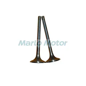 Engine Parts KTA19 K19 Intake Valve 3052820 3803518