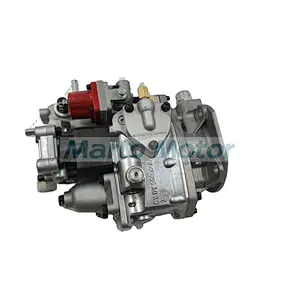 Cummins Diesel Engine Fuel Pump 4076956 3021989 3030274