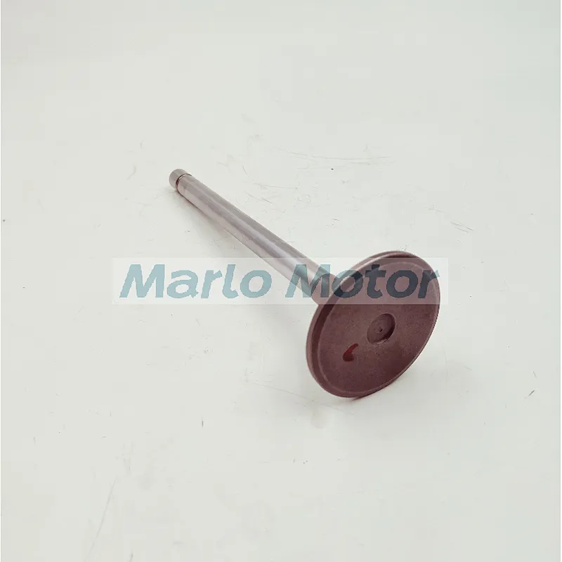Original Cummins CCEC K19 KTA19 QSK19 Intake Valve 2881836 4955734 from ...