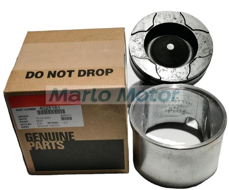 QSM ISM QSM11 ISM11 M11 L10 piston kit 3803978 3803706 3896031 4059948 4059901 4025161 3080760
