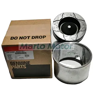 QSM ISM QSM11 ISM11 M11 L10 piston kit 3803978 3803706 3896031 4059948 4059901 4025161 3080760