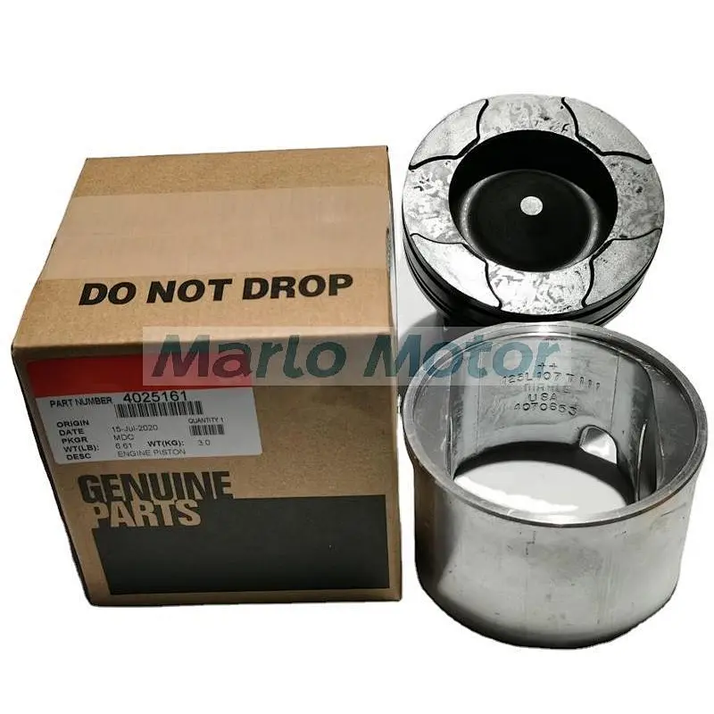 QSM ISM QSM11 ISM11 M11 L10 piston kit 3803978 3803706 3896031 4059948 4059901 4025161 3080760