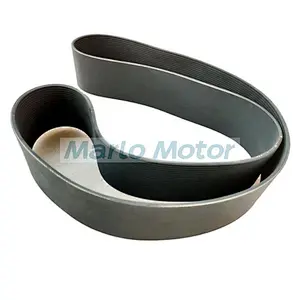 K50 KTA50 KTA50G3 diesel engine fan belt V ribbed belt 3629656