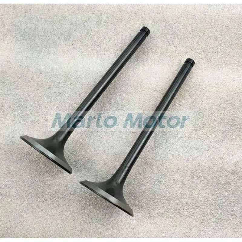QSB3.3 B3.3 diesel engine parts Intake valve 4955285 4965868 4982907 4995554 5259420 C6207414130 6207-41-4110