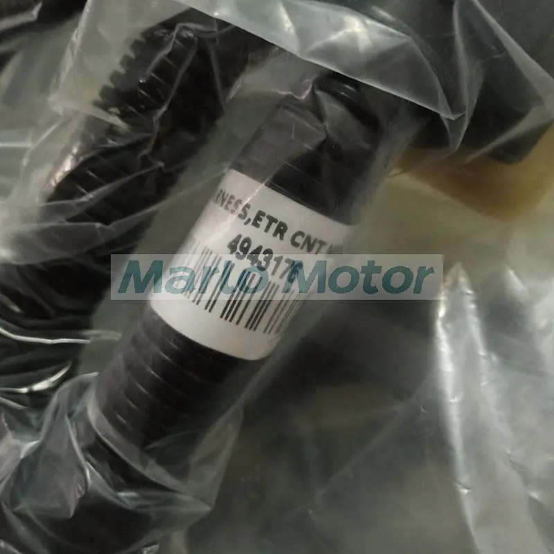 6L ISLe QSL8.9 QSL9 original diesel engine ECM wiring harness 4943176 3976494